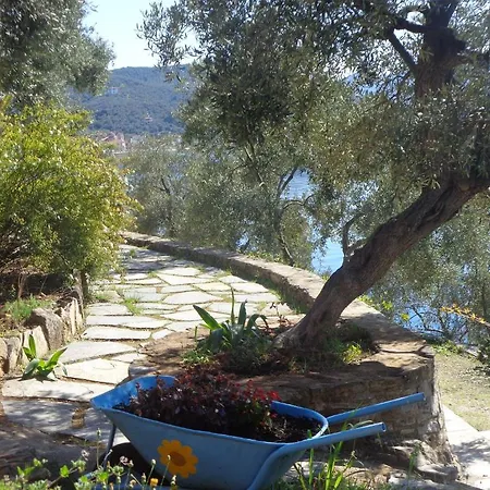 Lägenhet Sea Front Milina