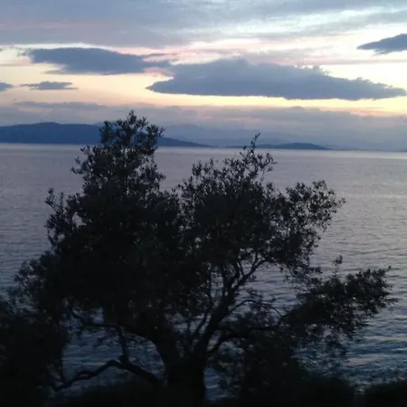 Appartement Sea Front *