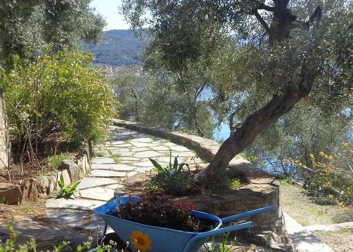 Apartament Sea Front Milina