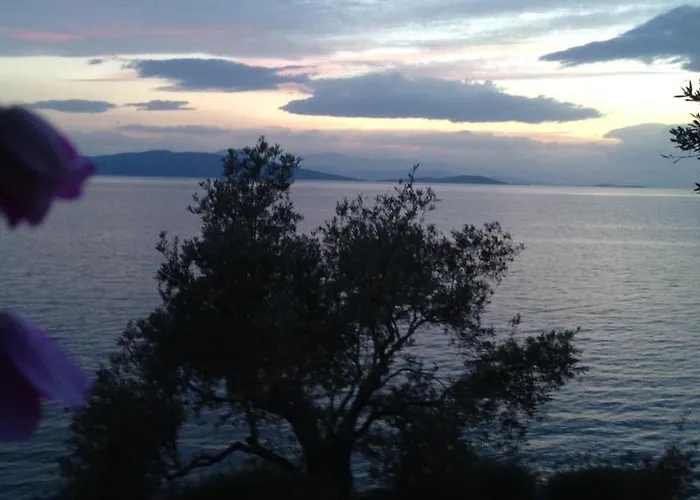 Appartement Sea Front *